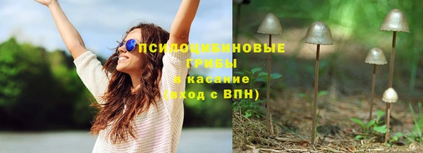 PSILOCYBIN Абаза