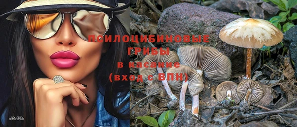 тгк Абинск
