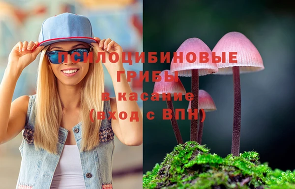 тгк Абинск