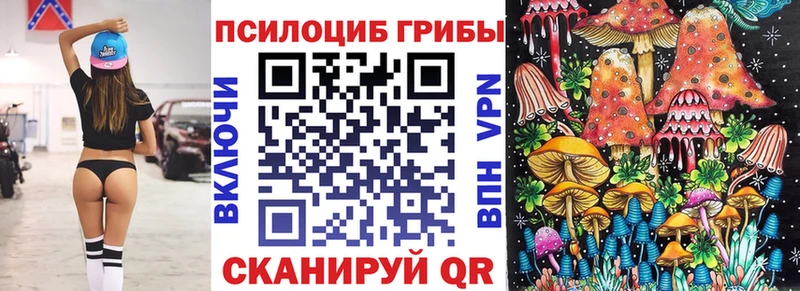Псилоцибиновые грибы GOLDEN TEACHER  Ядрин 